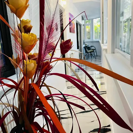 Plaja Neversea Daire *