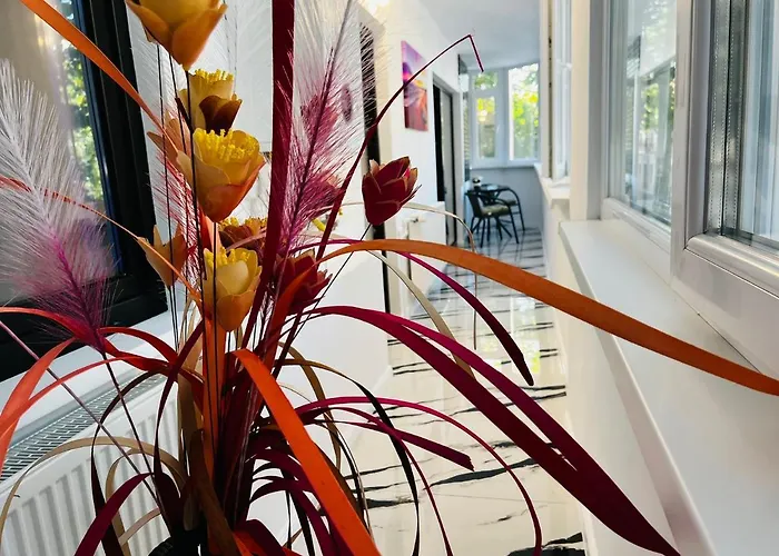 Plaja Neversea アパート *